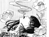 kin tsuchi